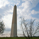 Illustration for article titled The Earthquake Cracked the Washington Monument